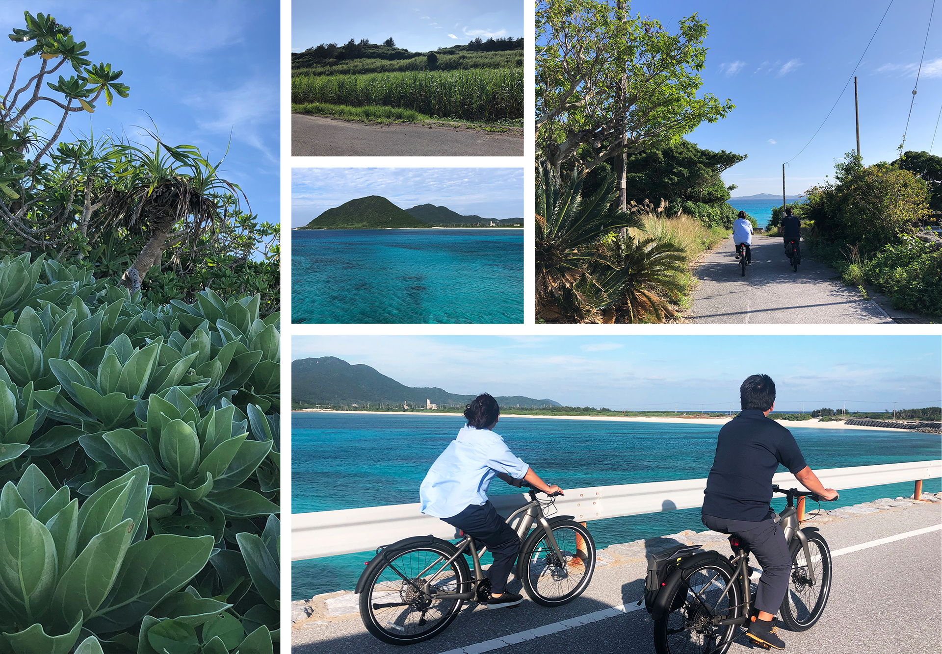 activities アクティブ体験Eバイクで巡る野甫島02